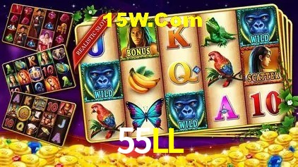 55LL Rio de Janeiro - Slot Strategy